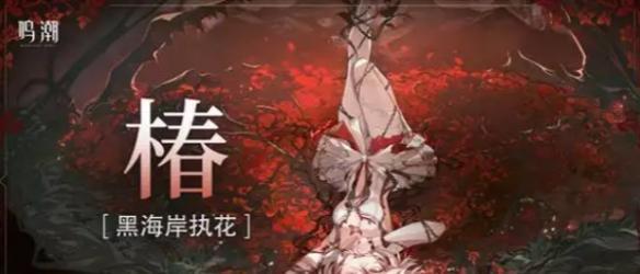 鸣潮洛可可怎么配队