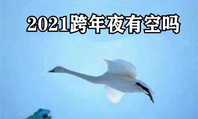 2021跨年夜有空吗天鹅最新表情包大全分享