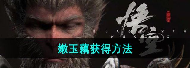 《黑神话悟空》嫩玉藕获得方法