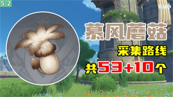 《原神》慕风蘑菇采集位置汇总63个慕风蘑菇采集路线图1