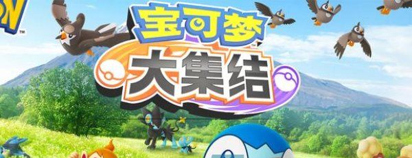 《宝可梦大集结》兑换码输入方法