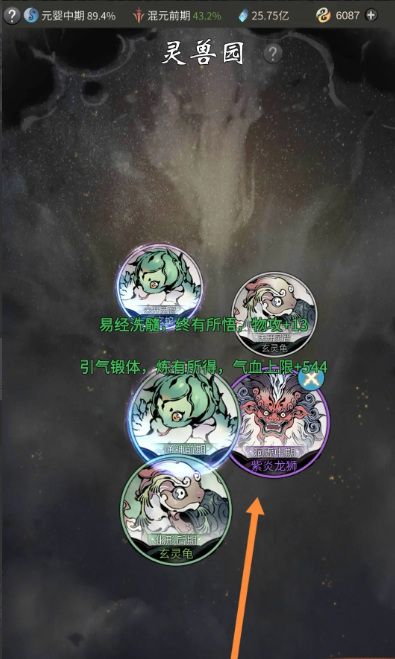 《一念逍遥》灵宠达到珍品方法
