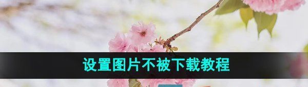 《微博》设置图片不被下载教程