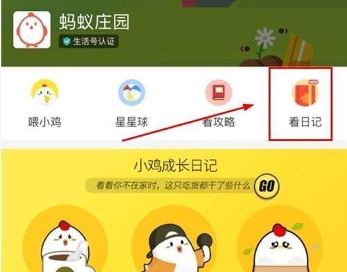 2020《支付宝》12月9日每日一题答案（2）